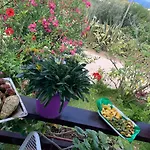 A Casa Di Picci 4* Santa Domenica (Vibo Valentia)