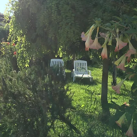 A Casa Di Picci Santa Domenica (Vibo Valentia)