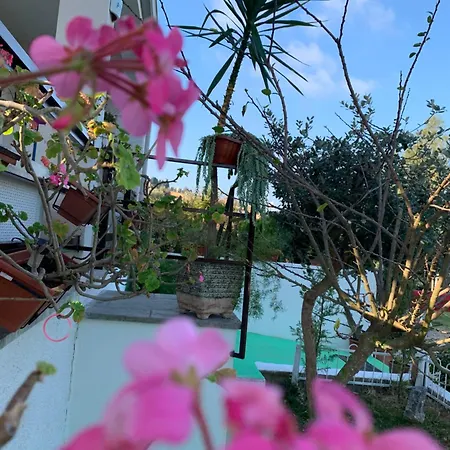 A Casa Di Picci
