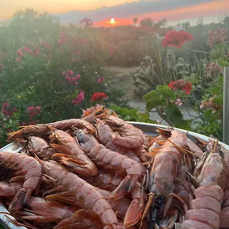 A Casa Di Picci Bed and Breakfast