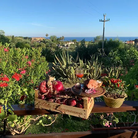 Bed & Breakfast A Casa Di Picci