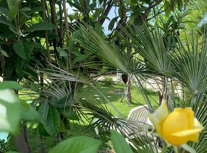 A Casa Di Picci 산타도메니카