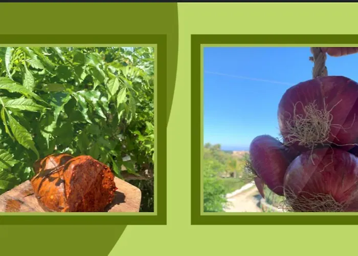 B&B A Casa Di Picci 산타도메니카