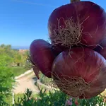 A Casa Di Picci B&B