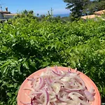 A Casa Di Picci 4*