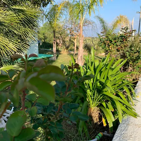 Bed and breakfast A Casa Di Picci