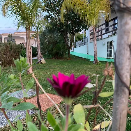 A Casa Di Picci Santa Domenica Talao