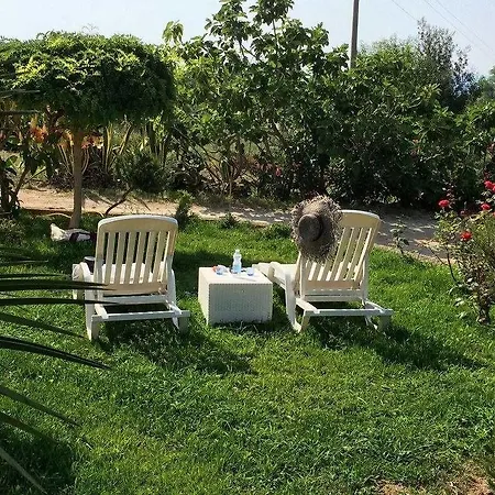 A Casa Di Picci Santa Domenica (Vibo Valentia)