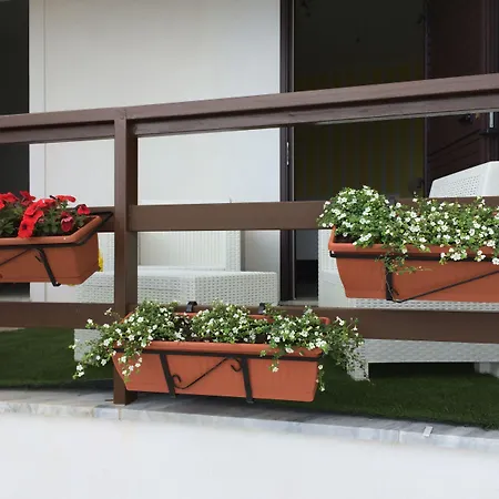 A Casa Di Picci Bed and breakfast Santa Domenica Talao