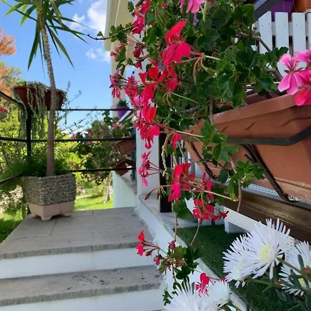 A Casa Di Picci Bed and breakfast