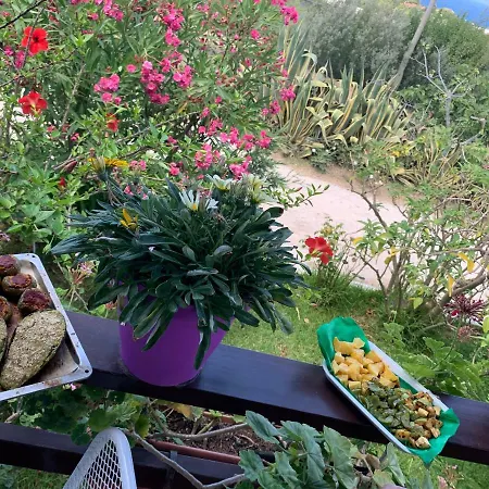 A Casa Di Picci 4* Santa Domenica (Vibo Valentia)