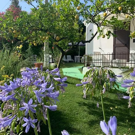 Bed and breakfast A Casa Di Picci Santa Domenica Talao