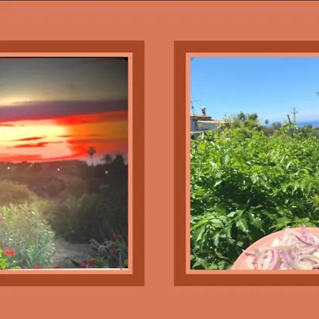 A Casa Di Picci Santa Domenica Talao