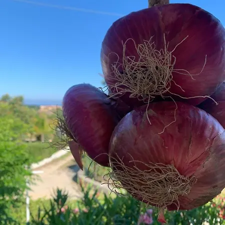 A Casa Di Picci Bed and breakfast