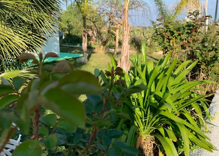 לינה וארוחת בוקר A Casa Di Picci