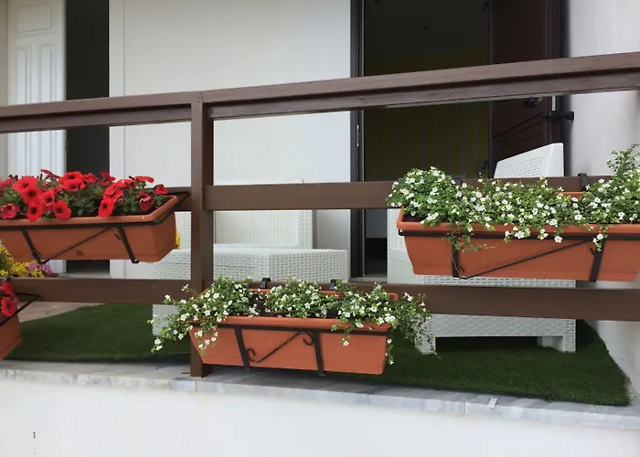 A Casa Di Picci לינה וארוחת בוקר סנטה דומניקה