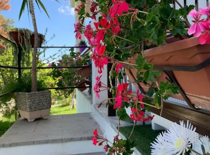 A Casa Di Picci Bed and Breakfast