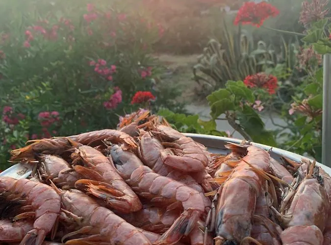 A Casa Di Picci Bed and Breakfast