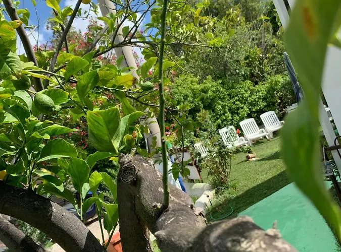 A Casa Di Picci Bed & Breakfast 4*