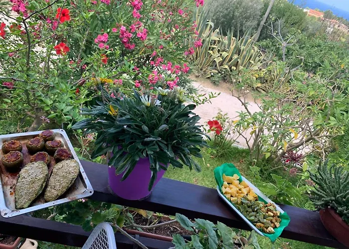 A Casa Di Picci 4* סנטה דומניקה