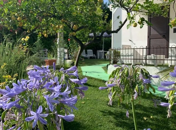 Bed and Breakfast A Casa Di Picci Santa Domenica (Vibo Valentia)