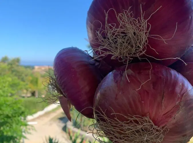 A Casa Di Picci לינה וארוחת בוקר